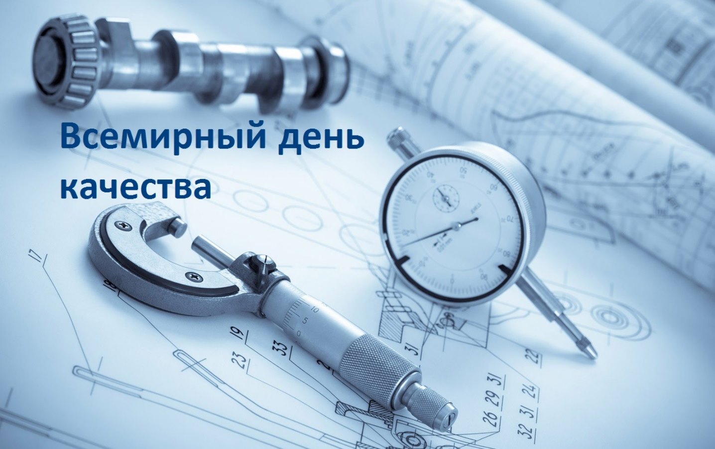 Всемирный день качества